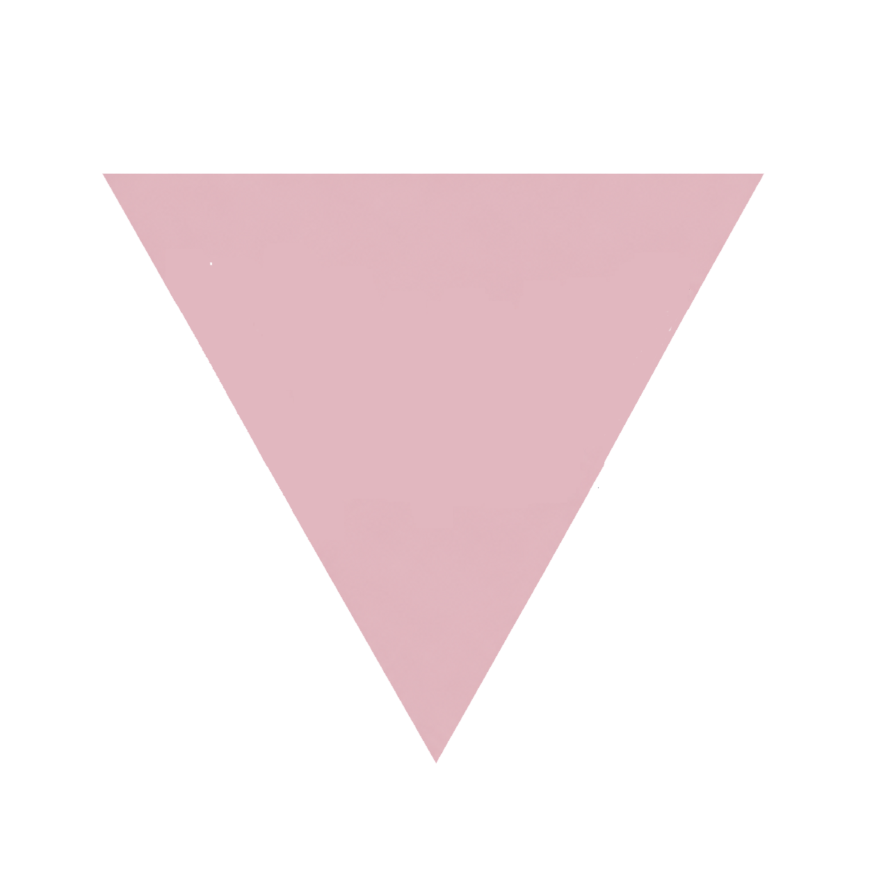 endometriozamorava.cz